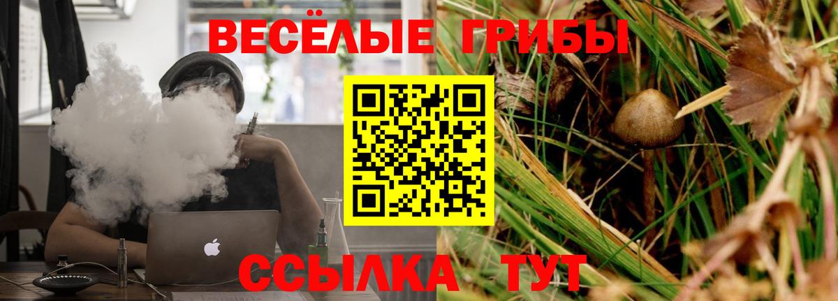 Галлюциногенные грибы Psilocybine cubensis  Псилоцибиновые грибы ЛСД  наркота  Вход с VPN  Камень-на-Оби 